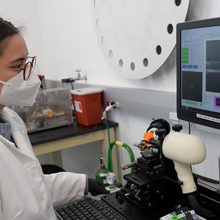 A student looking at a screen in a biomedical sciences lab