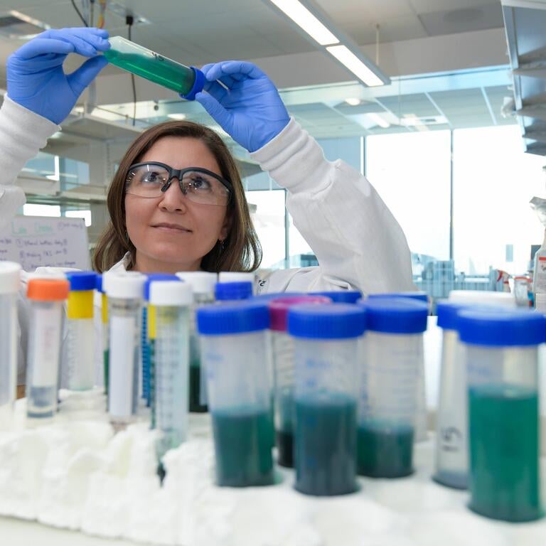 researcher looking at a test tube