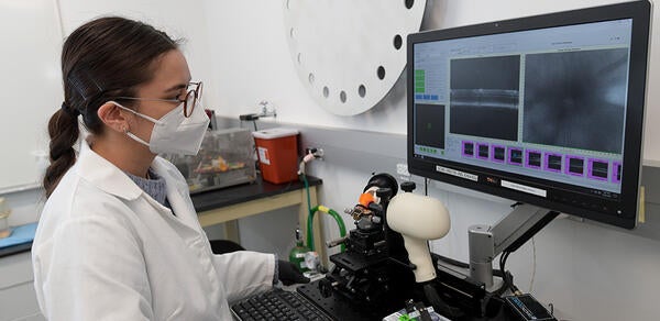 A student looking at a screen in a biomedical sciences lab