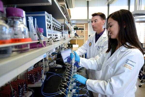 Two scientists stand in front of a row of chemicals.