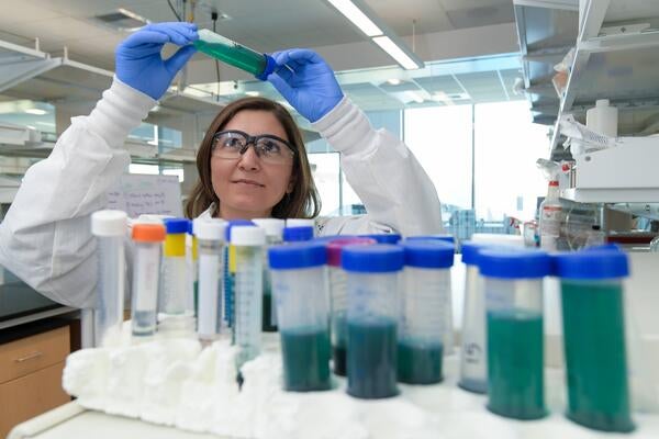 researcher looking at a test tube