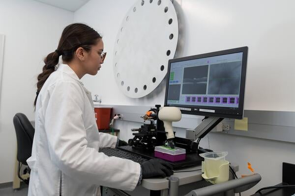 A researcher working at a computer